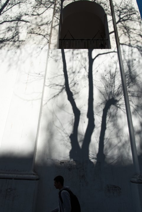 _DSC9466.jpg