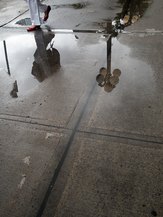 _8176603.jpg