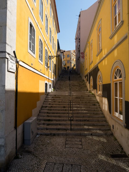 _4231895.jpg