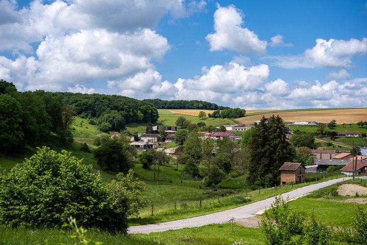 _DSF5752.jpg